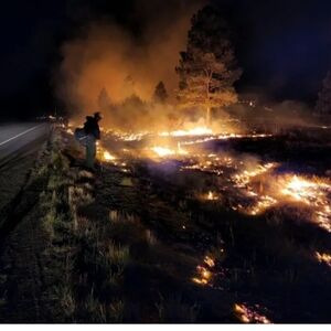 Poshmark for LA posh Matching all sales to help California. 5:00 Thursday 21st